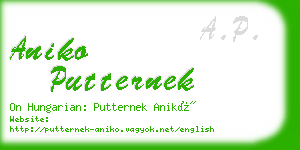 aniko putternek business card